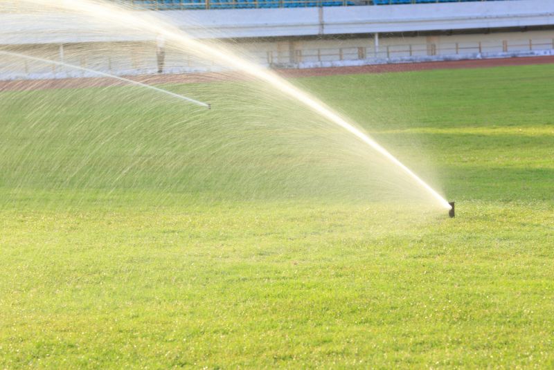 Lawn Sprinkler Installation
