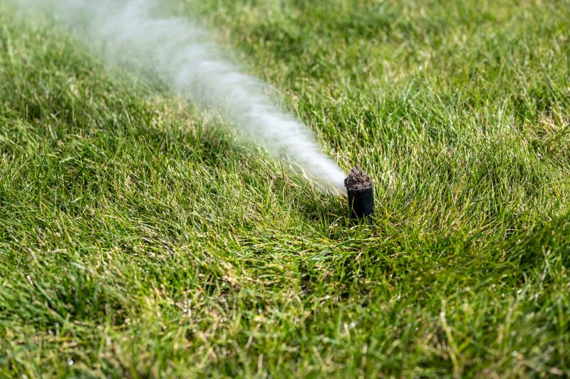 Drainage of Sprinkler Heads