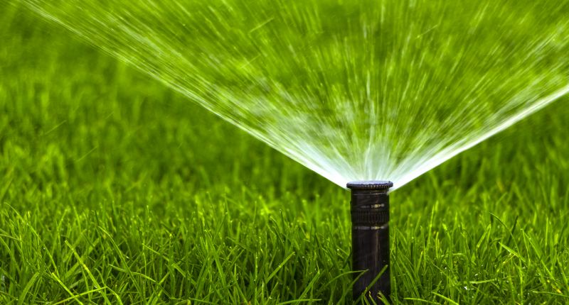 Sprinkler Head Replacement