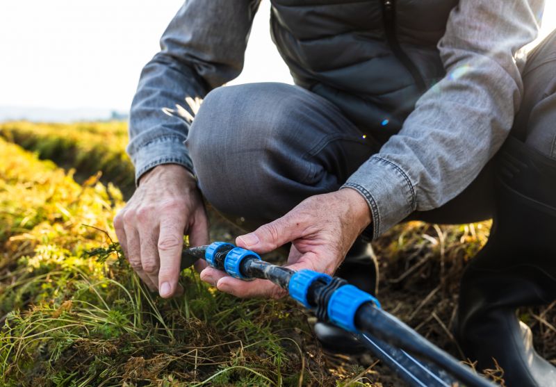 Sprinkler Repair