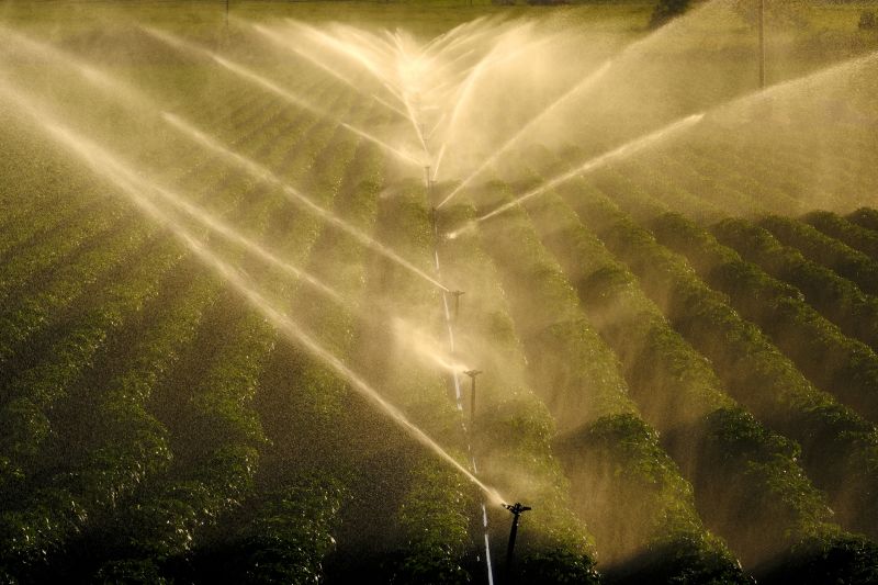 Yard Irrigation Installation